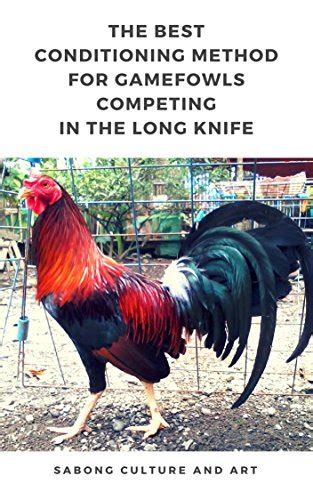 the best conditioning method for gamefowl|The Best Conditioning Method for Gamefowls Competing In the .